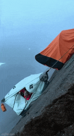 Acid GIFs, December 29 (25 gifs)