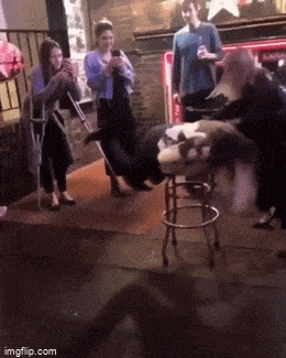 Acid GIFs, December 29 (25 gifs)