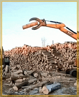 Acid GIFs, December 29 (25 gifs)