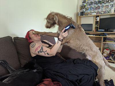 Right Moment (20 pics)