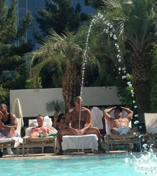 Look Twice (19 pics)