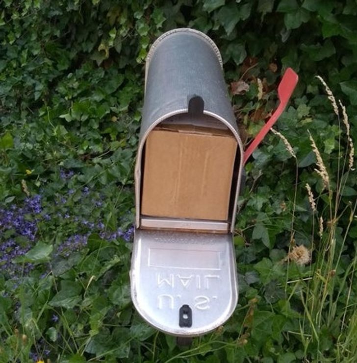 Epic Fails (17 pics)