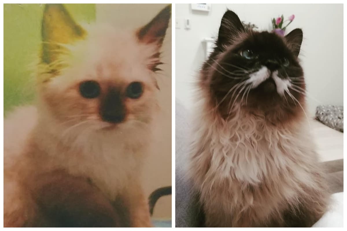 Before And After Photos (23 pics)