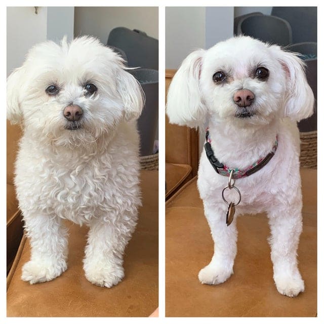 Before And After Photos (23 pics)