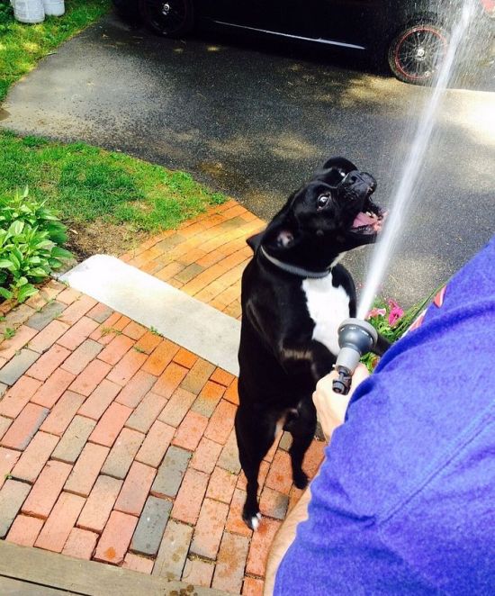 Daily Pictures. Part 1 (63 pics)