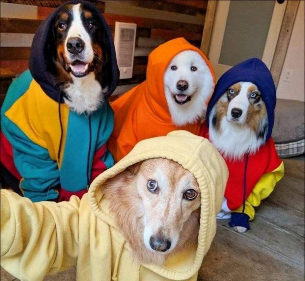 Daily Pictures. Part 1 (63 pics)