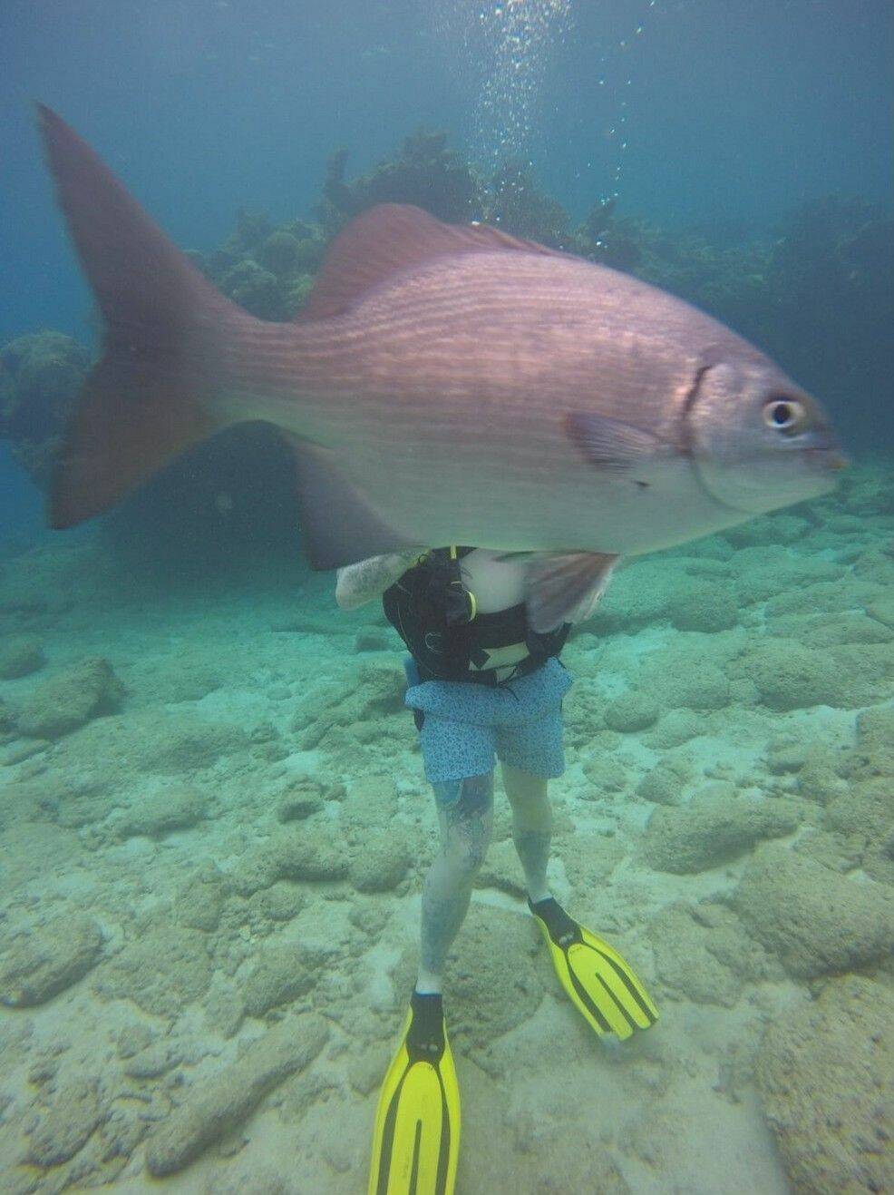 Daily Pictures. Part 1 (63 pics)