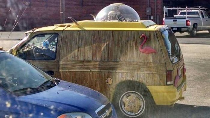 Daily Pictures. Part 1 (63 pics)