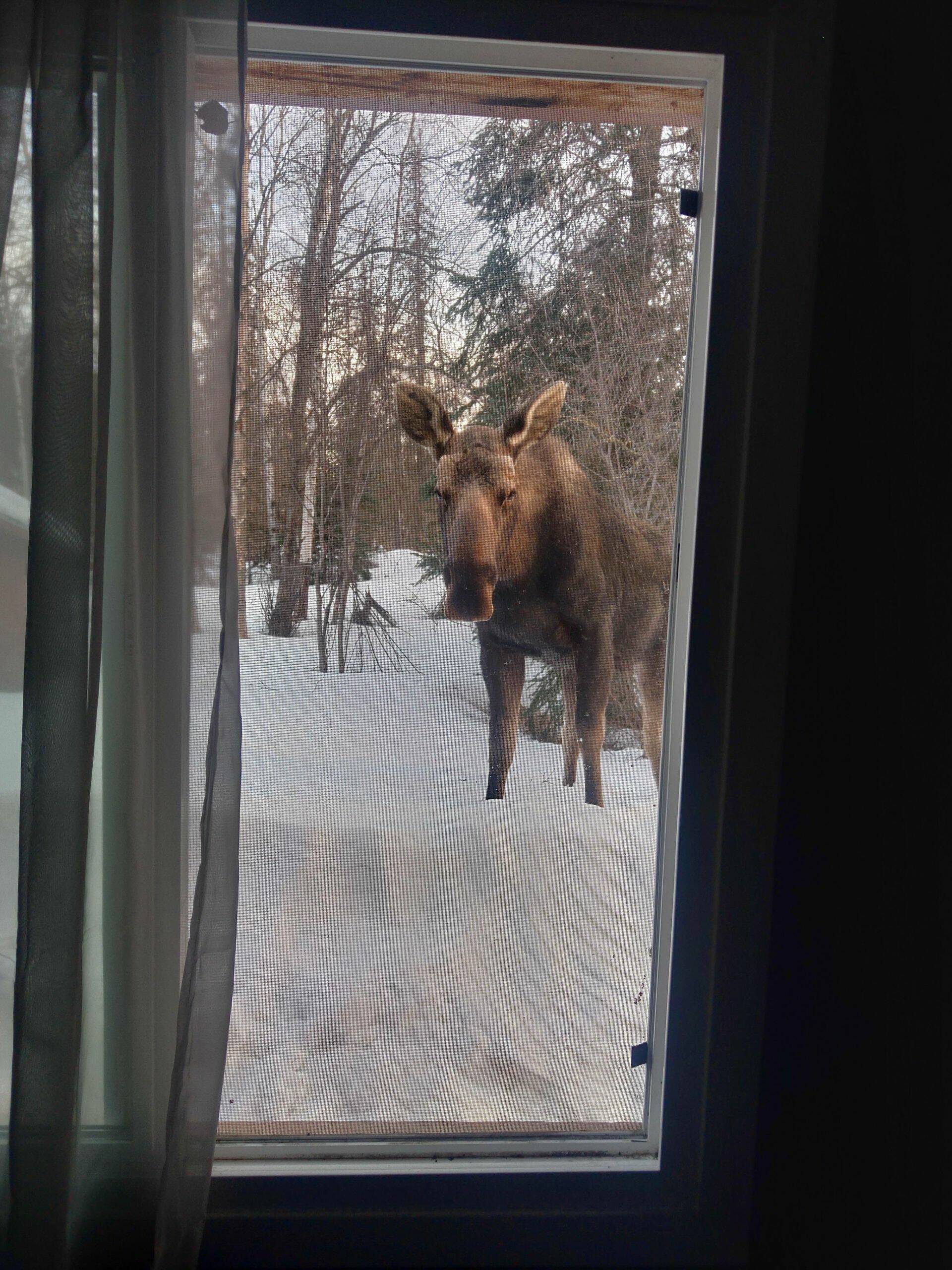 Daily Pictures. Part 1 (63 pics)