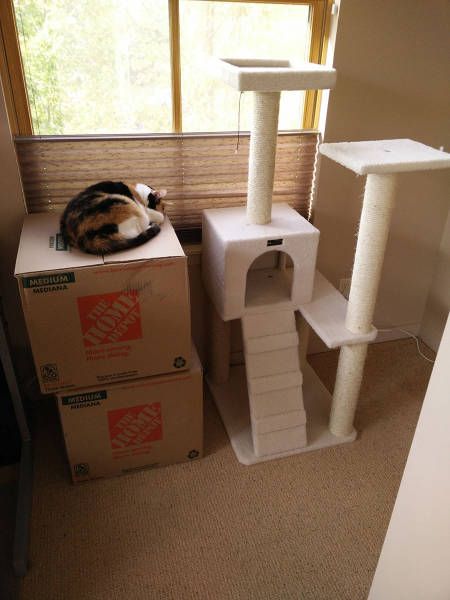 Daily Pictures. Part 1 (63 pics)