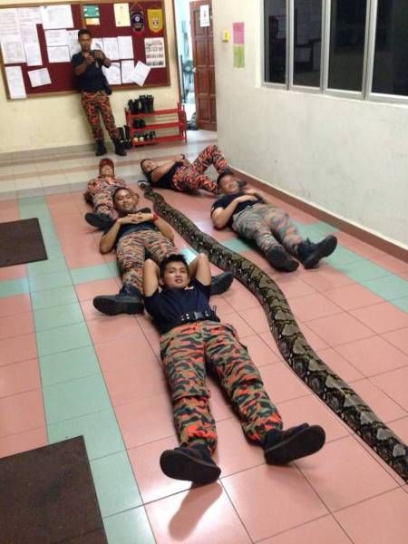 Daily Pictures. Part 1 (63 pics)