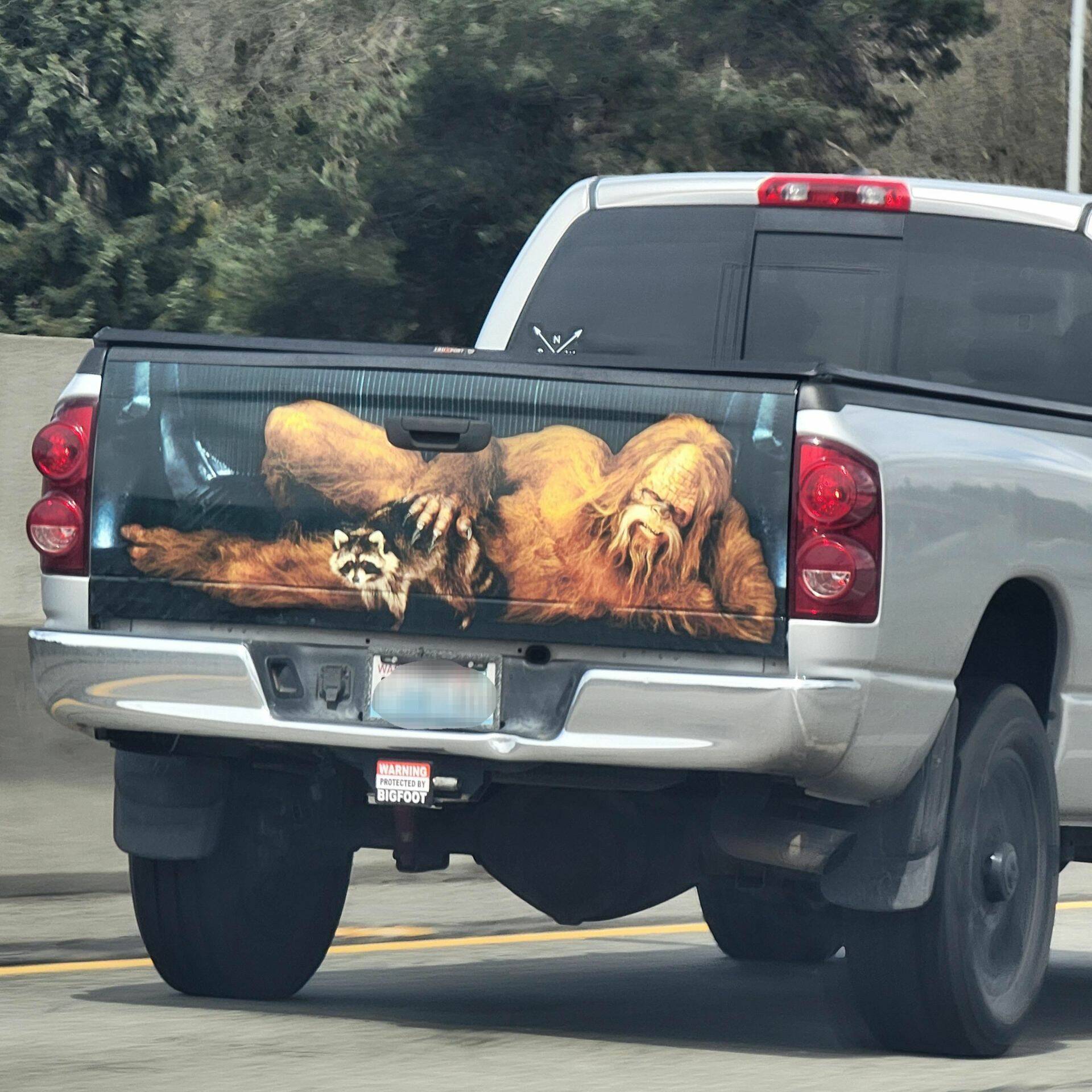 Daily Pictures. Part 1 (63 pics)