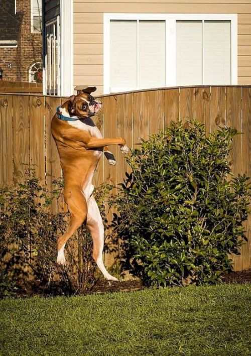 Daily Pictures. Part 1 (63 pics)