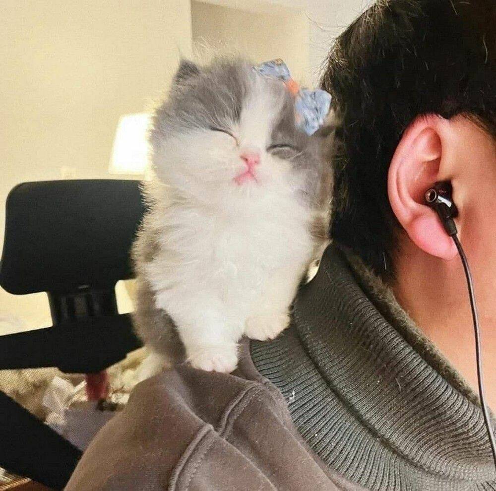 Daily Pictures. Part 1 (63 pics)