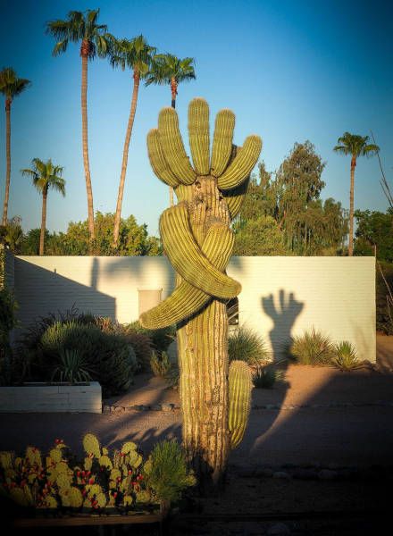 Daily Pictures. Part 1 (63 pics)