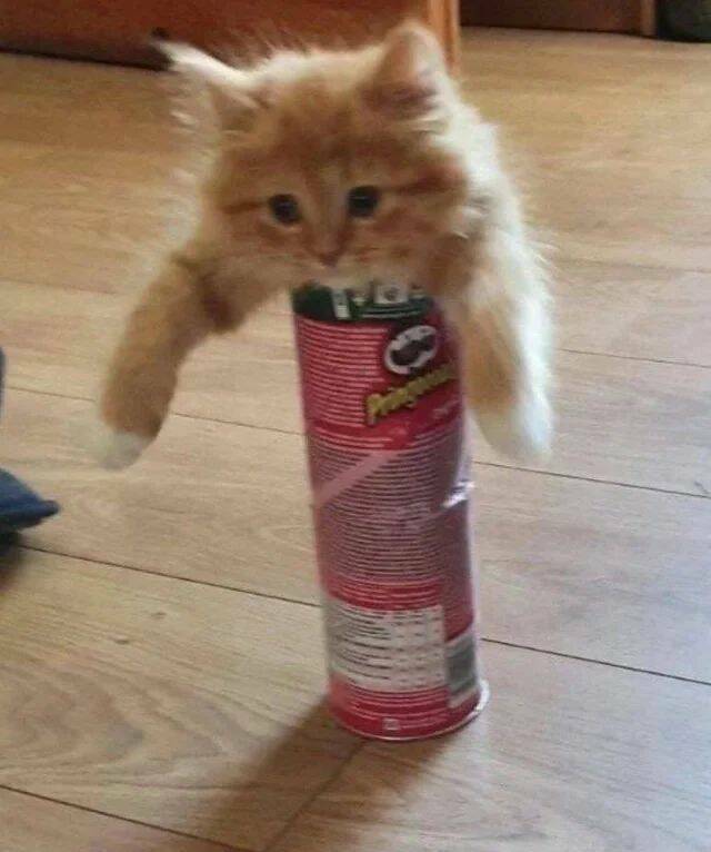 Daily Pictures. Part 1 (63 pics)