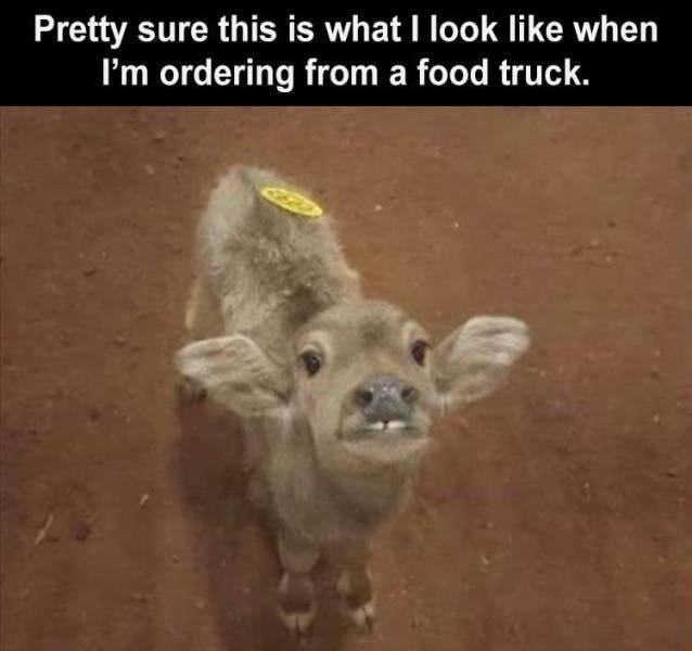 Daily Pictures. Part 2 (62 pics)