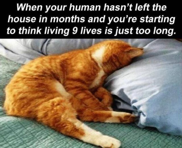 Daily Pictures. Part 2 (62 pics)