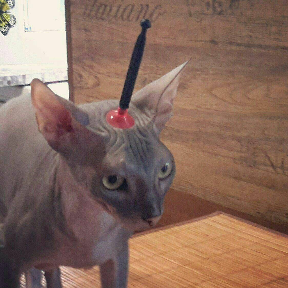 Daily Pictures. Part 2 (62 pics)