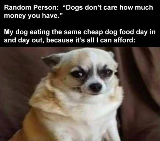 Daily Pictures. Part 2 (62 pics)