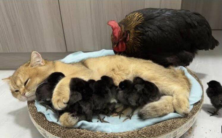 Daily Pictures. Part 2 (62 pics)