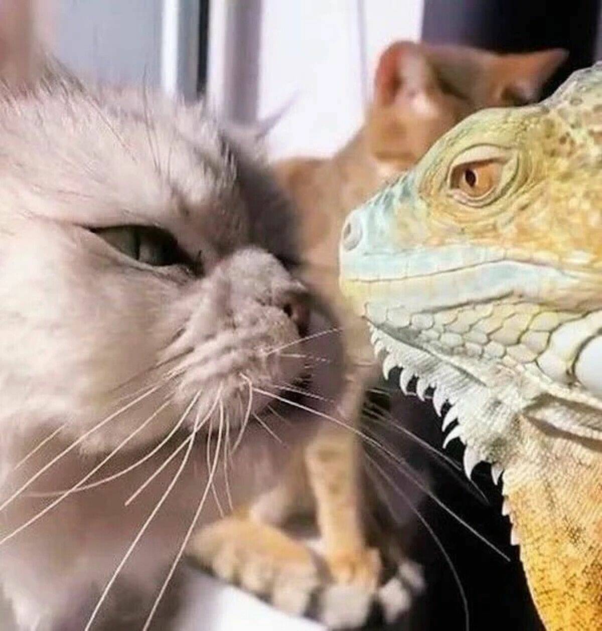 Daily Pictures. Part 2 (62 pics)