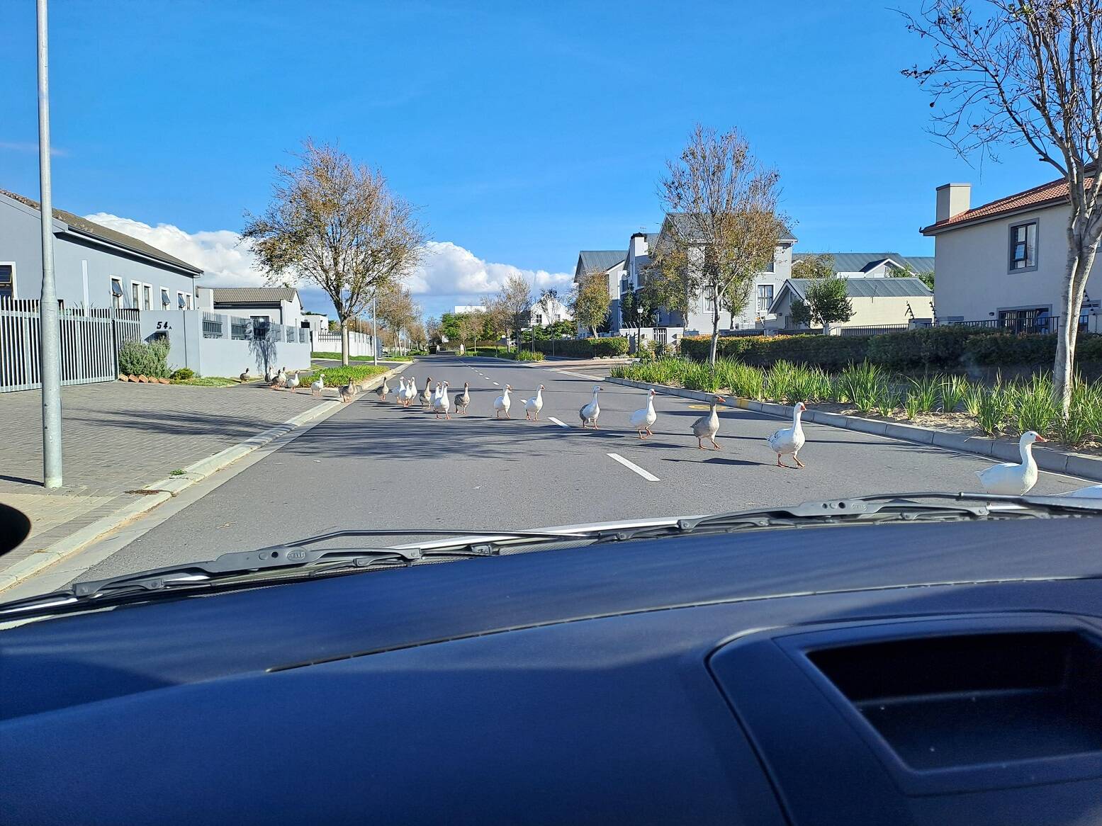 Daily Pictures. Part 1 (63 pics)