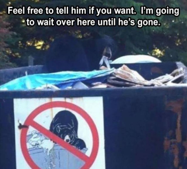 Daily Pictures. Part 2 (62 pics)