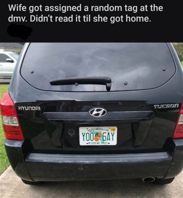 Daily Pictures. Part 2 (62 pics)