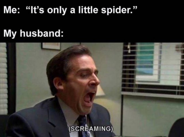 Daily Pictures. Part 2 (62 pics)