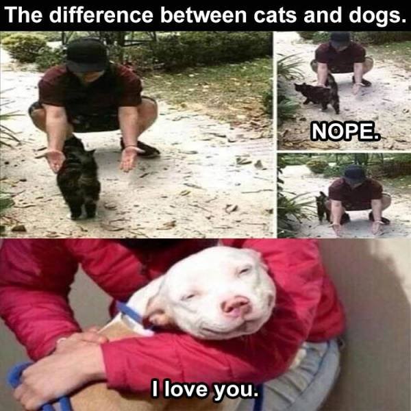 Daily Pictures. Part 2 (62 pics)