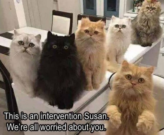 Daily Pictures. Part 2 (62 pics)