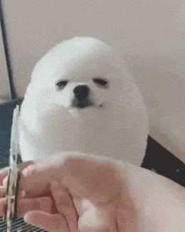 Acid GIFs, December 30 (25 gifs)