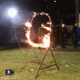 Acid GIFs, December 30 (25 gifs)