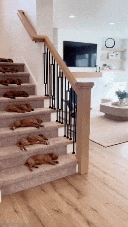 Acid GIFs, December 30 (25 gifs)