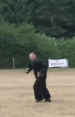 Acid GIFs, December 30 (25 gifs)