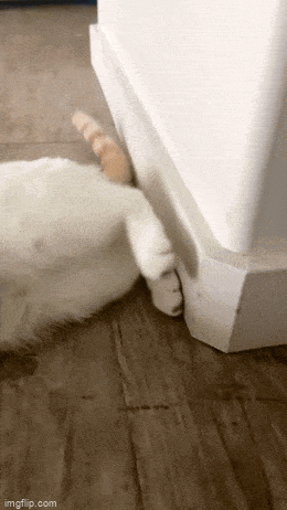 Acid GIFs, December 30 (25 gifs)