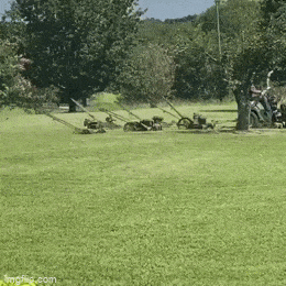 Acid GIFs, December 30 (25 gifs)