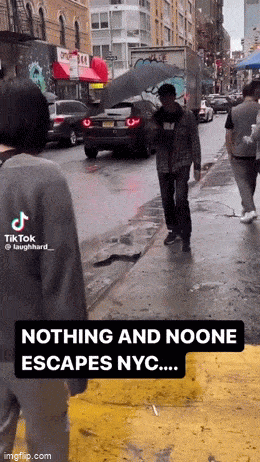 Acid GIFs, December 30 (25 gifs)