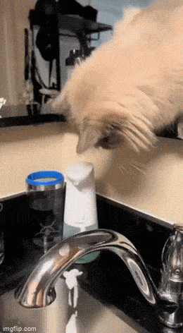 Acid GIFs, December 30 (25 gifs)