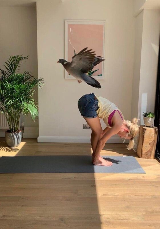 Funny Photos For A Good Mood (19 pics)