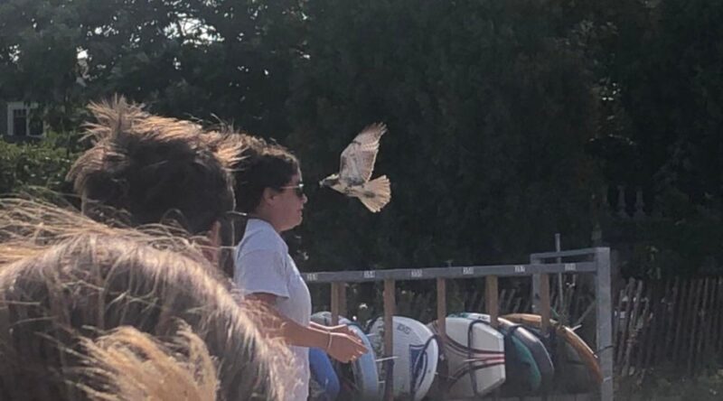 Funny Photos For A Good Mood (19 pics)