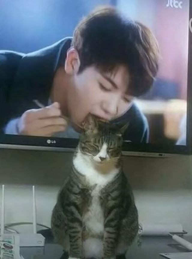 Funny Photos For A Good Mood (19 pics)