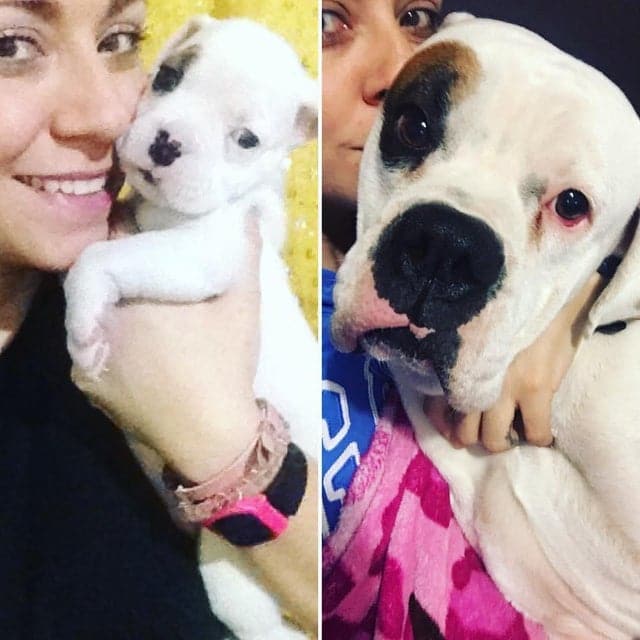 Cool Before And After Photos (23 pics)