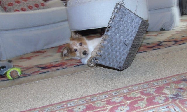 Right Moment (21 pics)