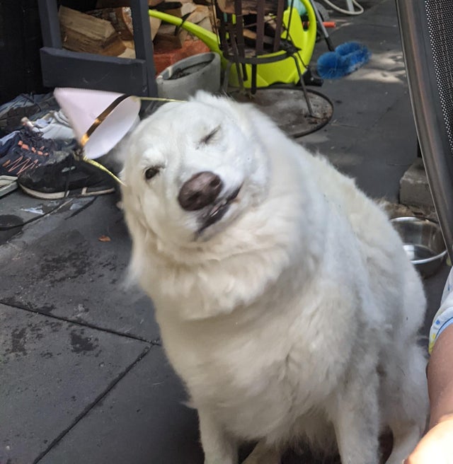 Right Moment (21 pics)