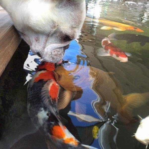 Daily Pictures. Part 1 (64 pics)