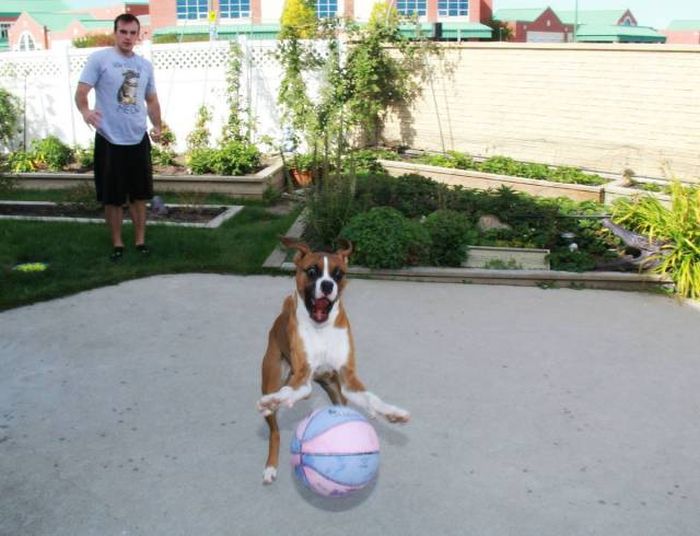 Daily Pictures. Part 1 (64 pics)