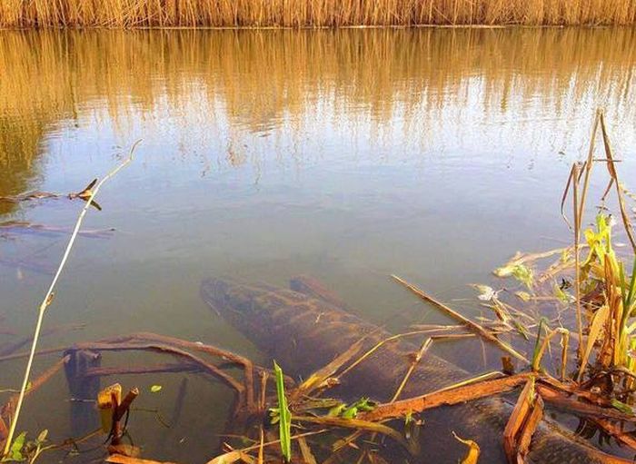 Daily Pictures. Part 1 (64 pics)