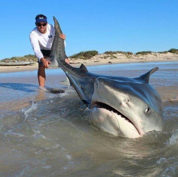 Daily Pictures. Part 1 (64 pics)